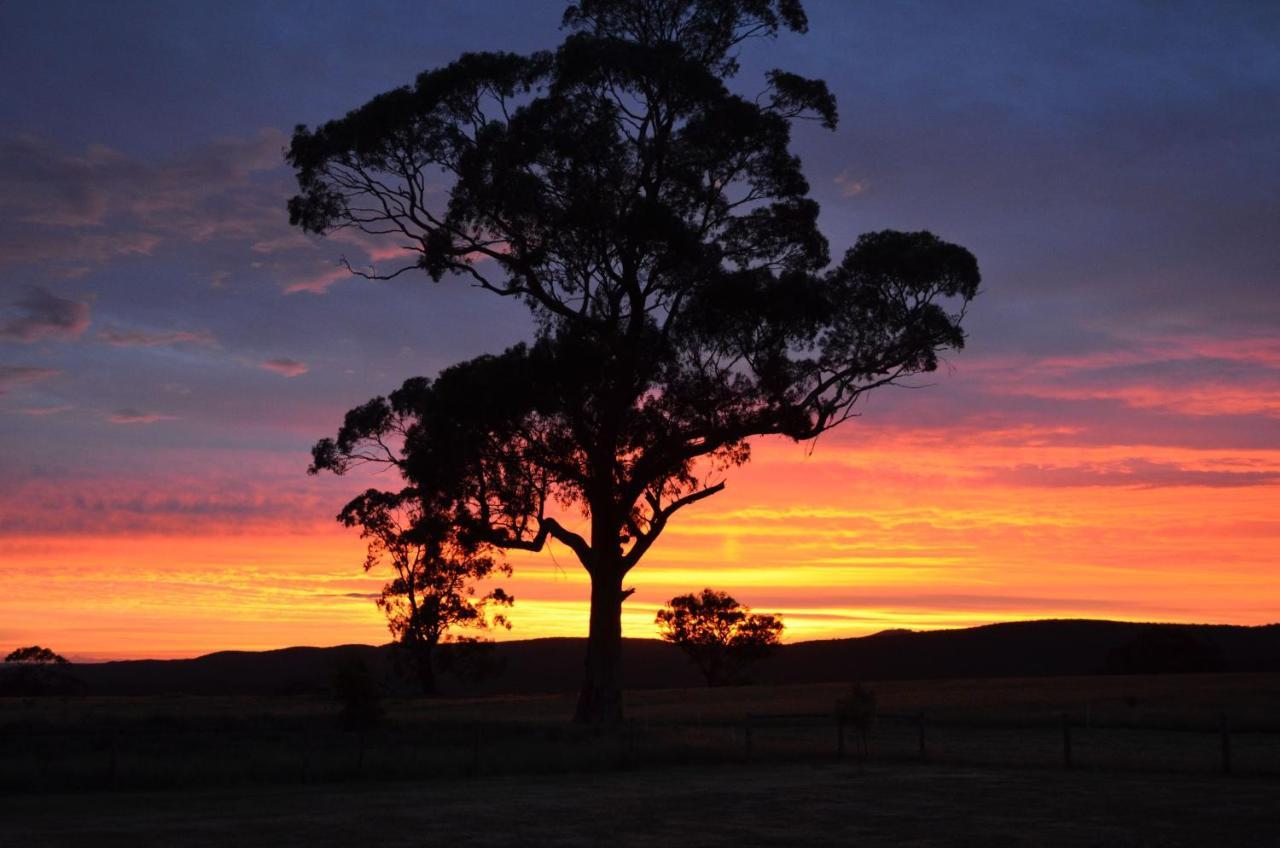Rooks Edge Bed & Breakfast Gisborne Eksteriør bilde