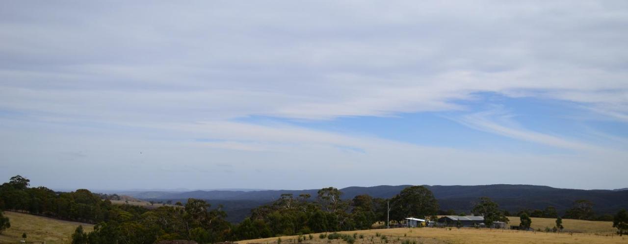 Rooks Edge Bed & Breakfast Gisborne Eksteriør bilde