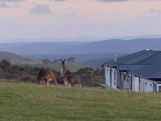 Rooks Edge Bed & Breakfast Gisborne Eksteriør bilde